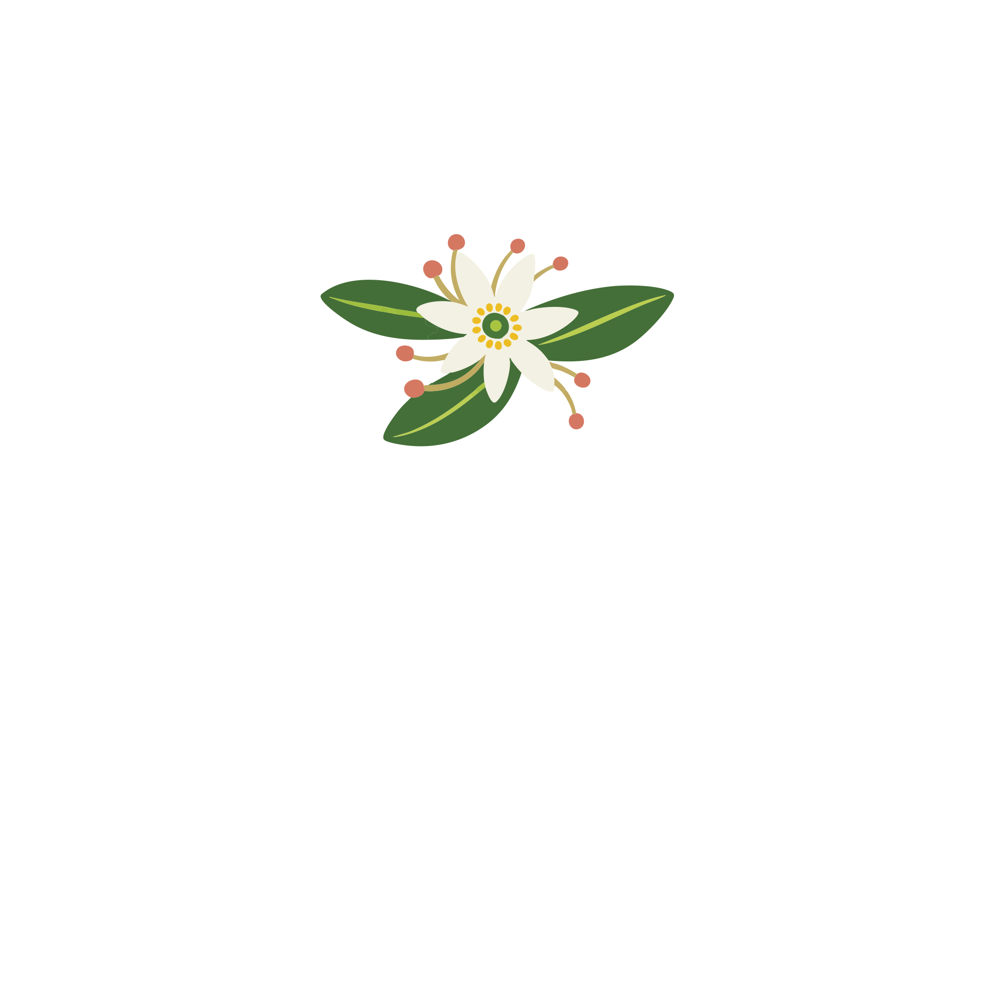 Alto del Canelo